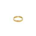 Subtle Shine Ring